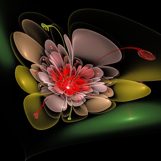 Red orange flower