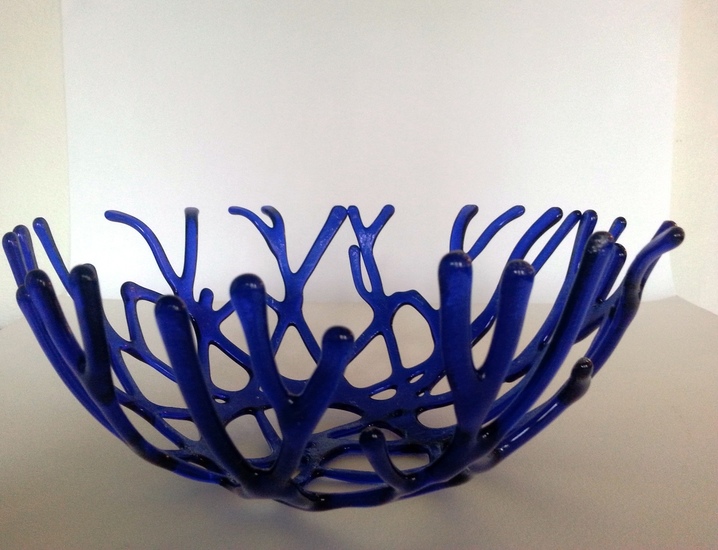 Blauwe koraalschaal #2