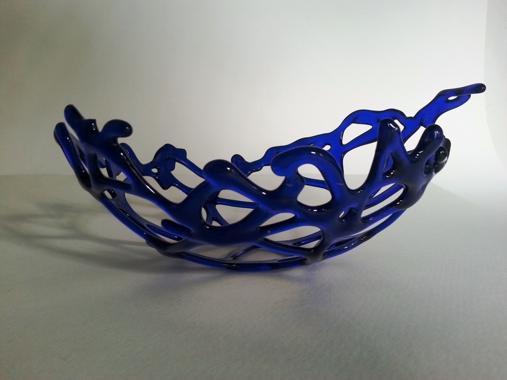 Blauwe koraalschaal #3
