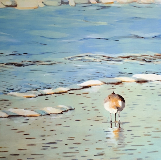 Strandvogel