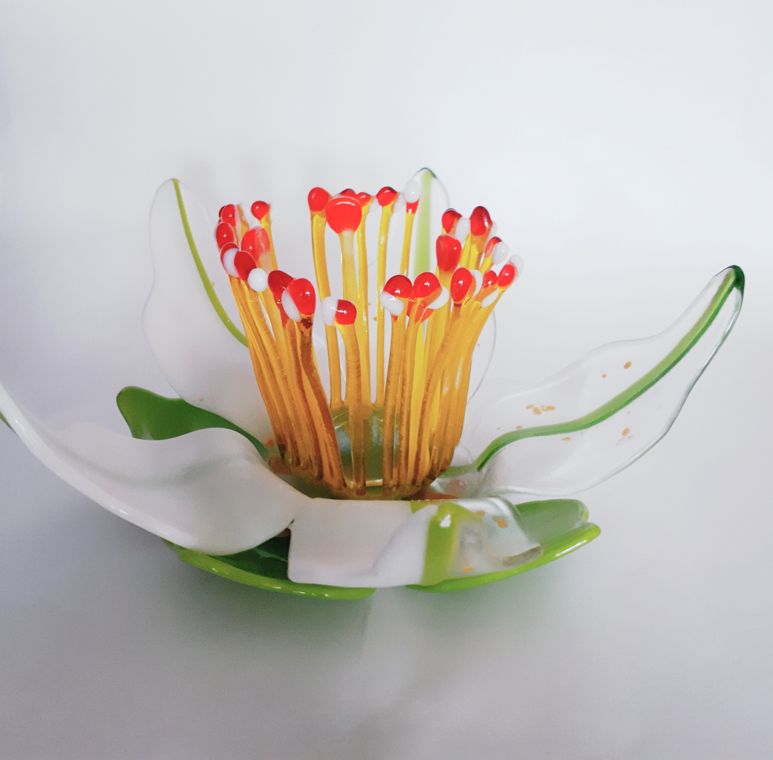 Camellia Sinensis