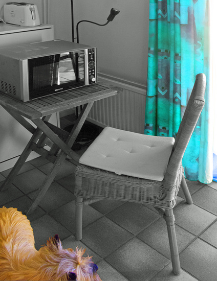 Appartment 2 microwave