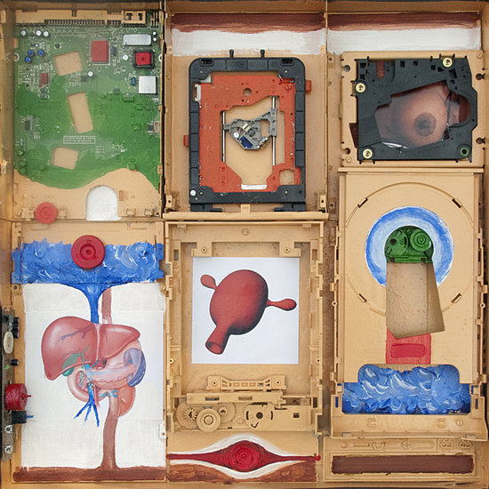 Anatomia Scriptor