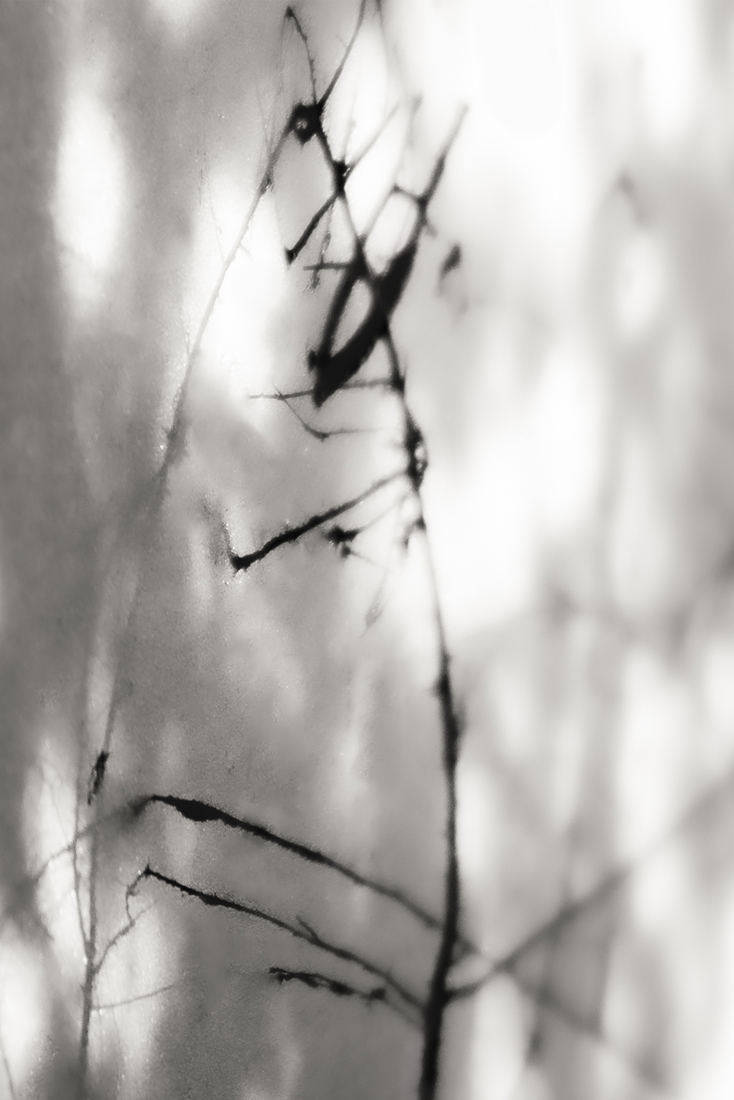 shadows on the wall