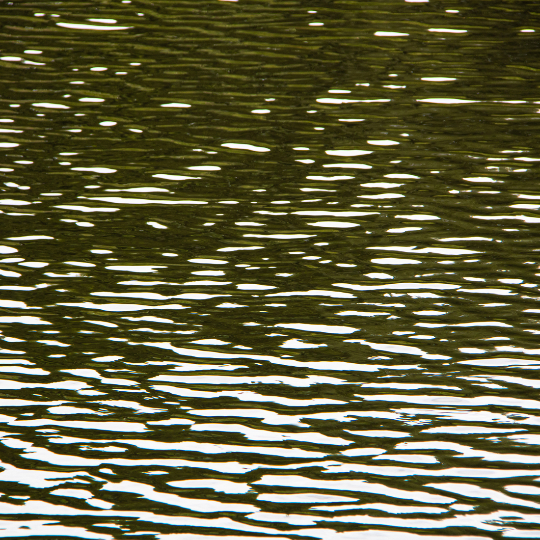 black waters