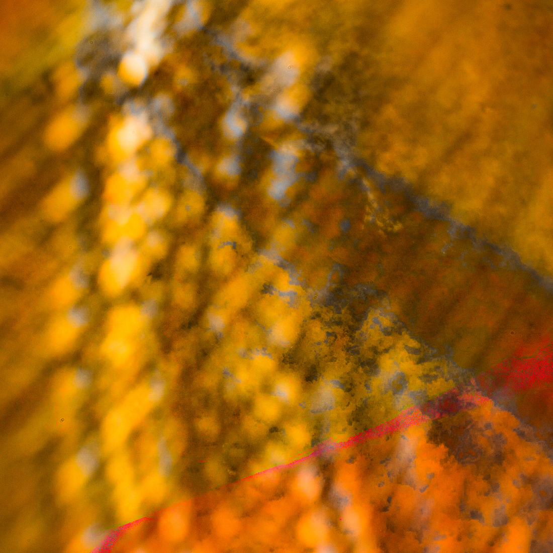 april light (multimedia)
