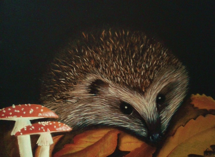Egel