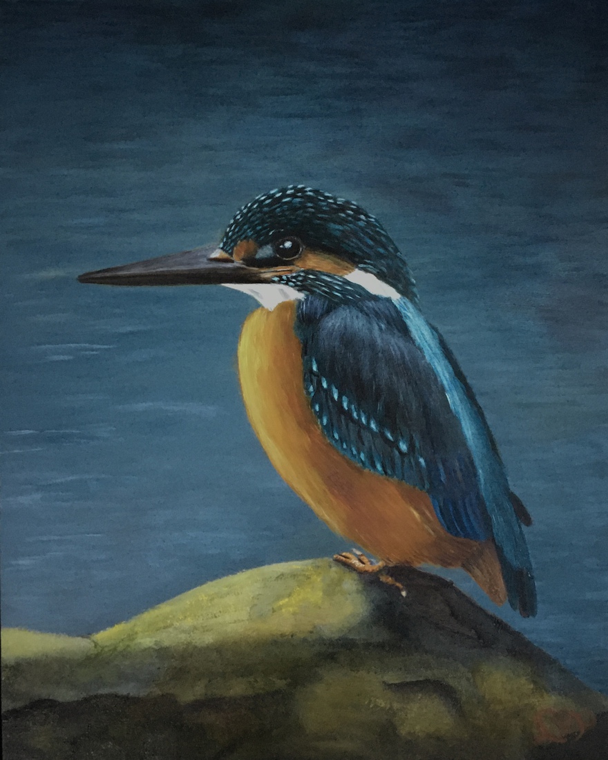 The King Kingfisher