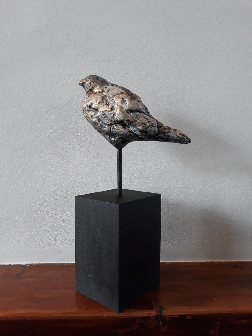 Jong vogeltje