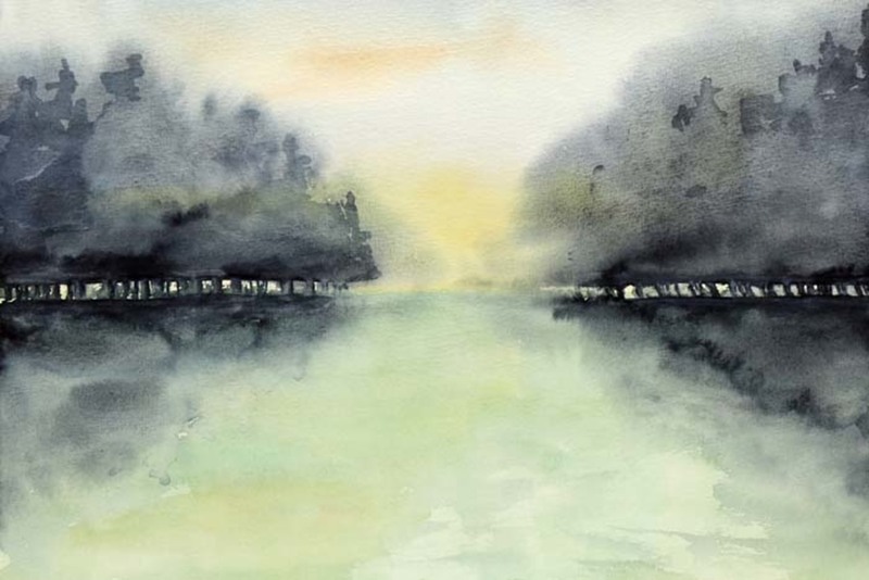 Bomen in de mist