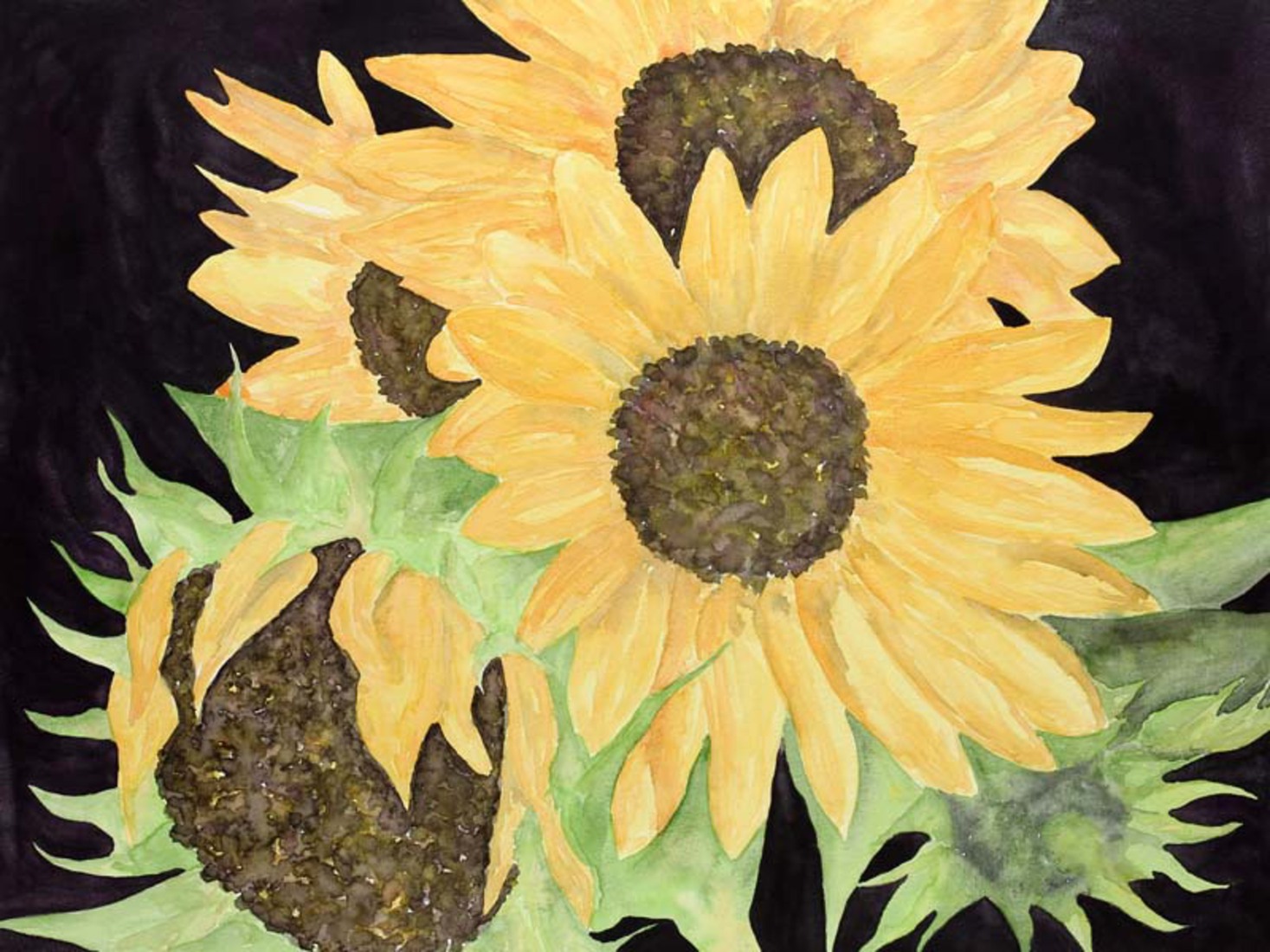 De zonnebloemen