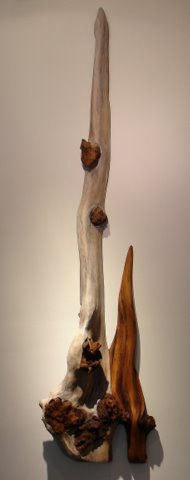 muurboom marijke