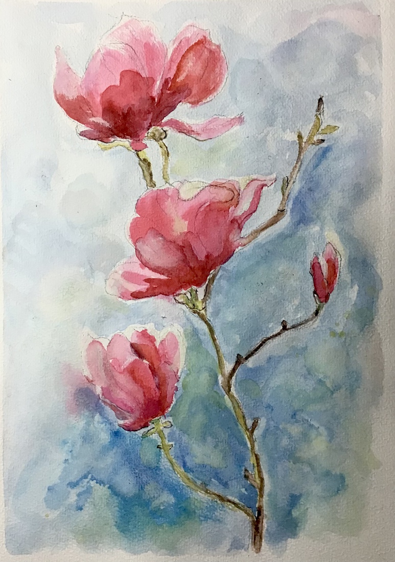 Magnolia