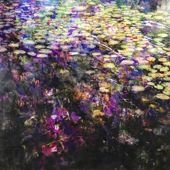 Symbiosis 140-01