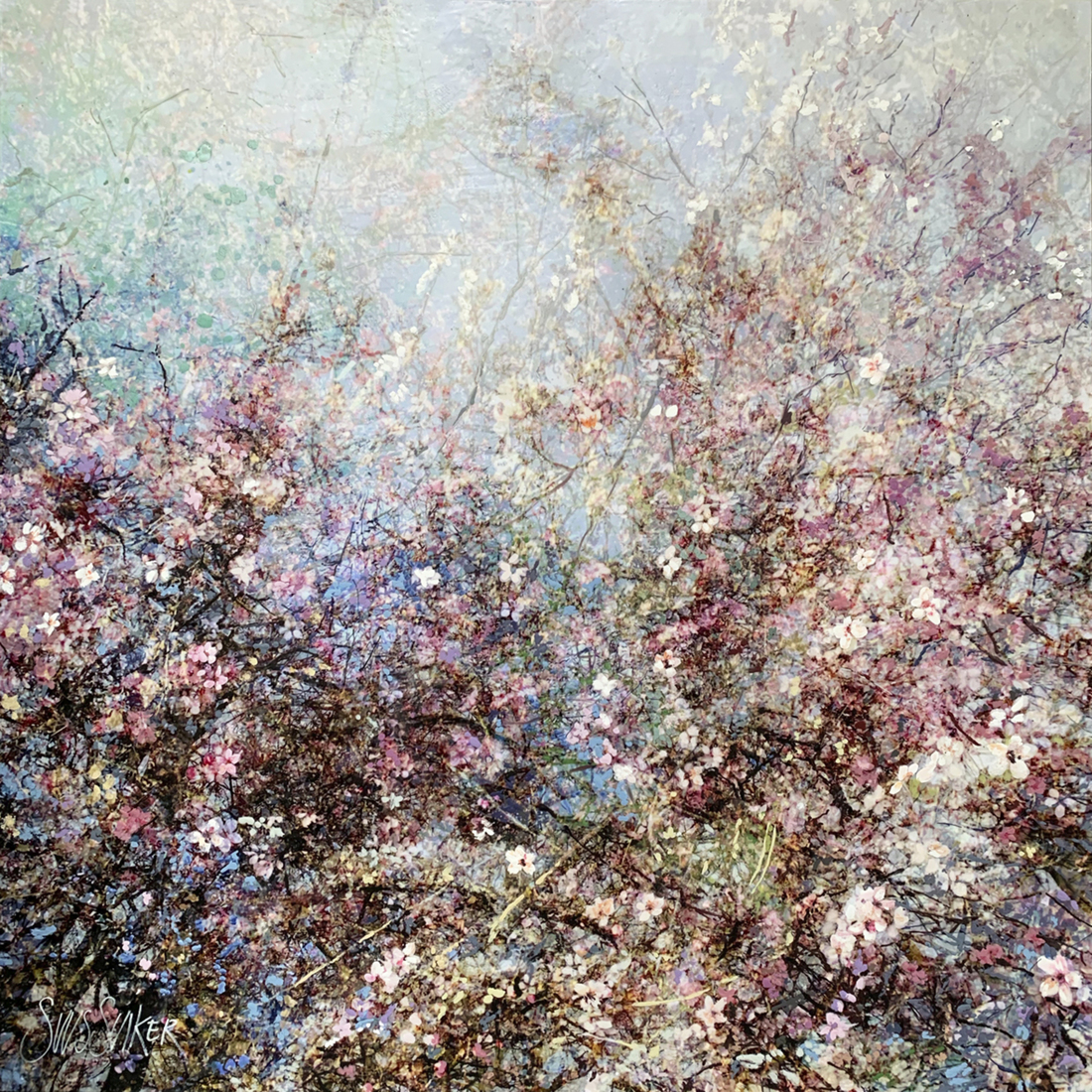 Symbiosis 120-15