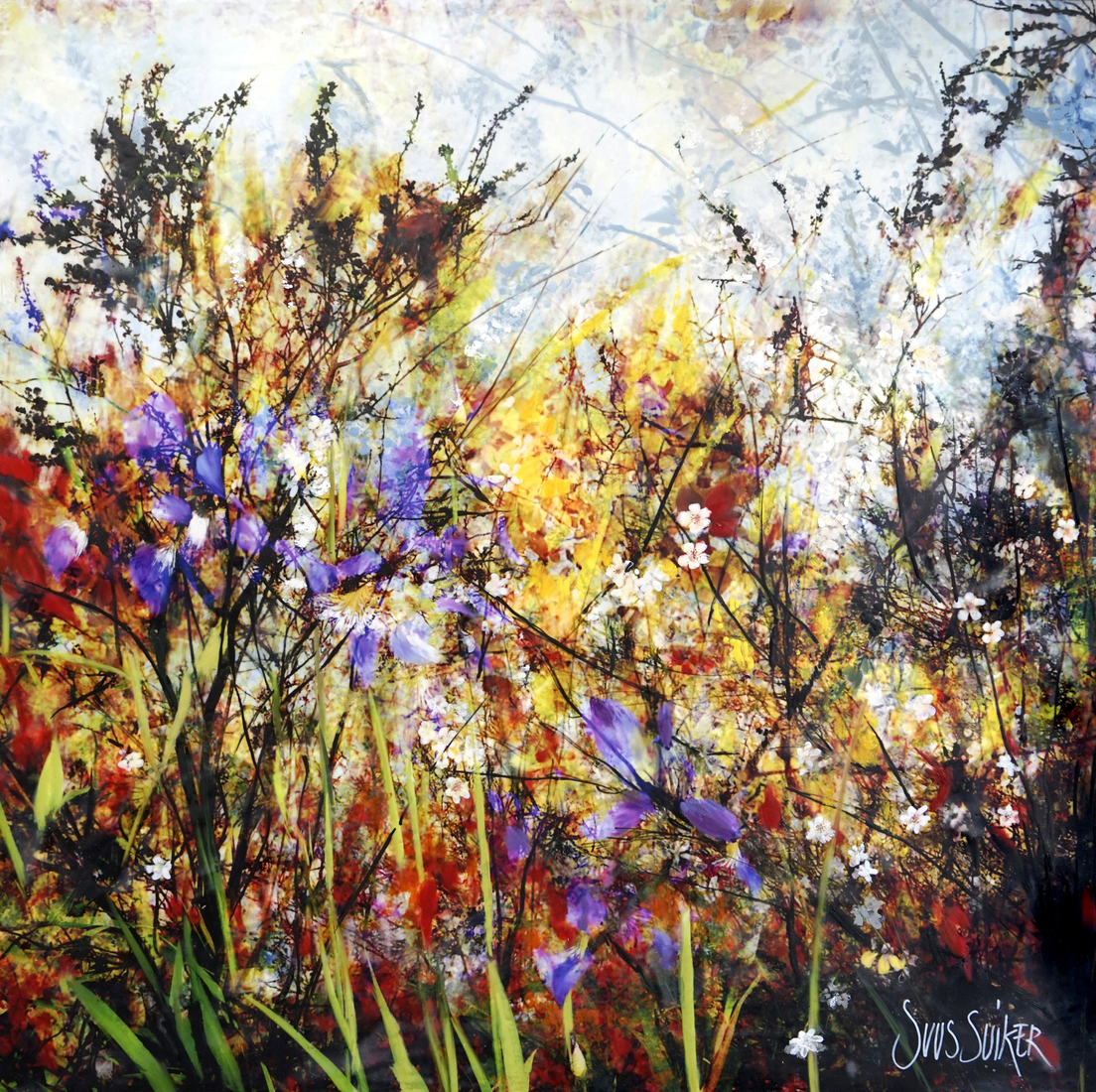 Symbiosis 90-20