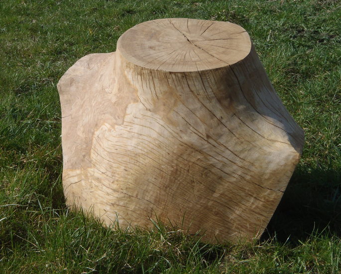 torso (eik)