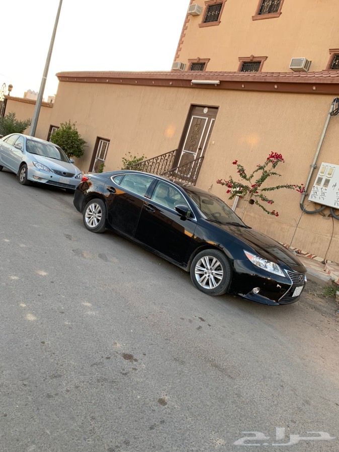 عفيف لا مانع من بديل