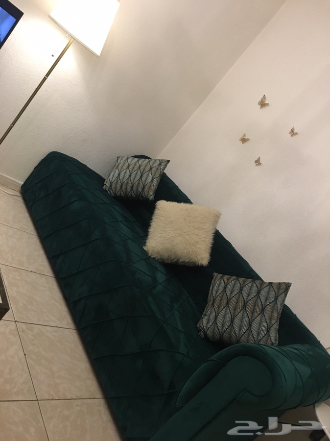 كنب جديد لون اخضر عشبي