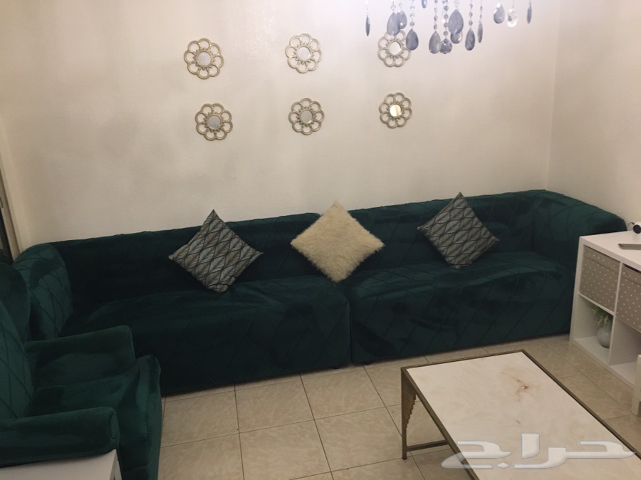 كنب جديد لون اخضر عشبي