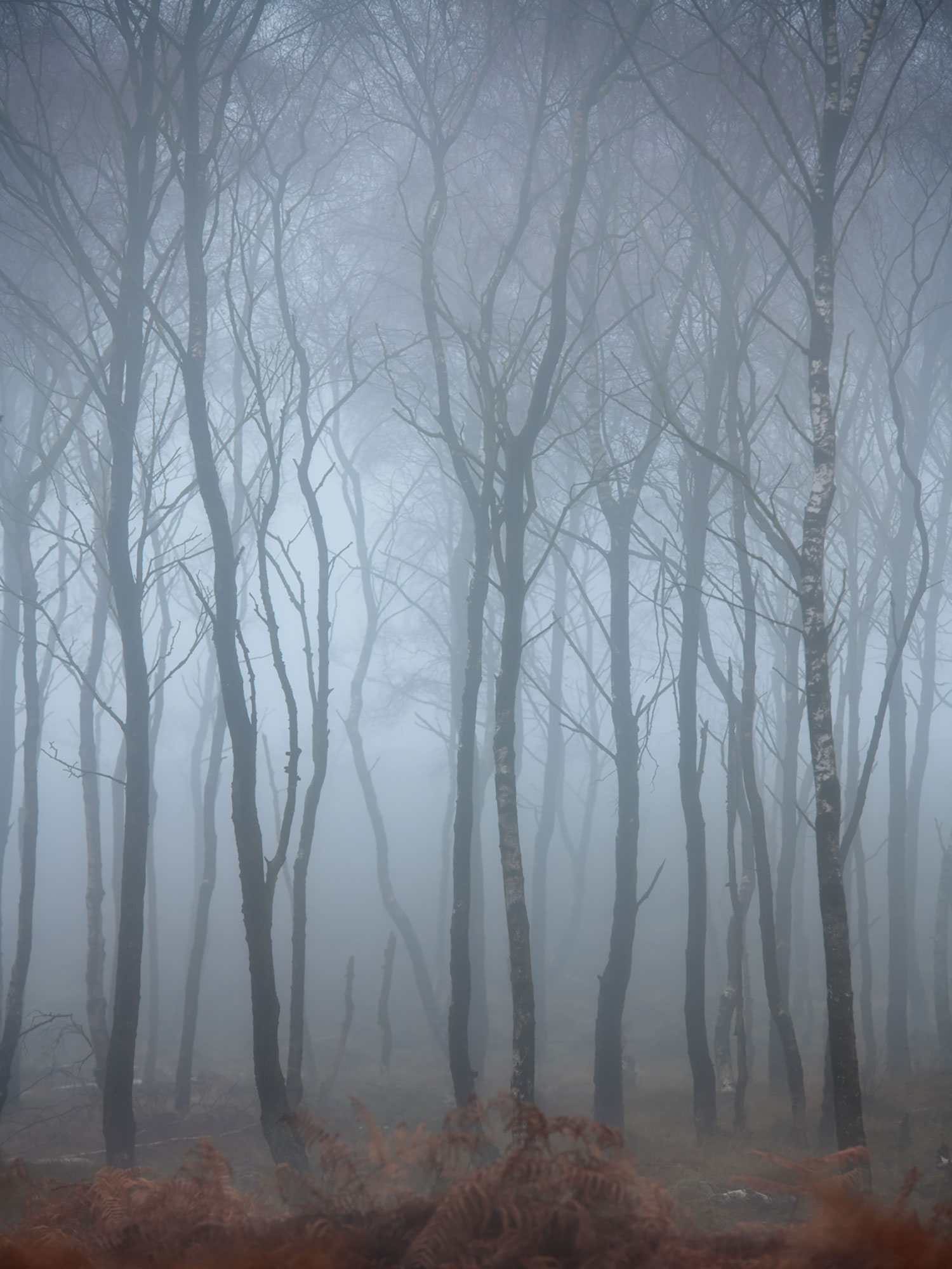 VIDEO: “Beautifully Miserable Landscape Photography”
