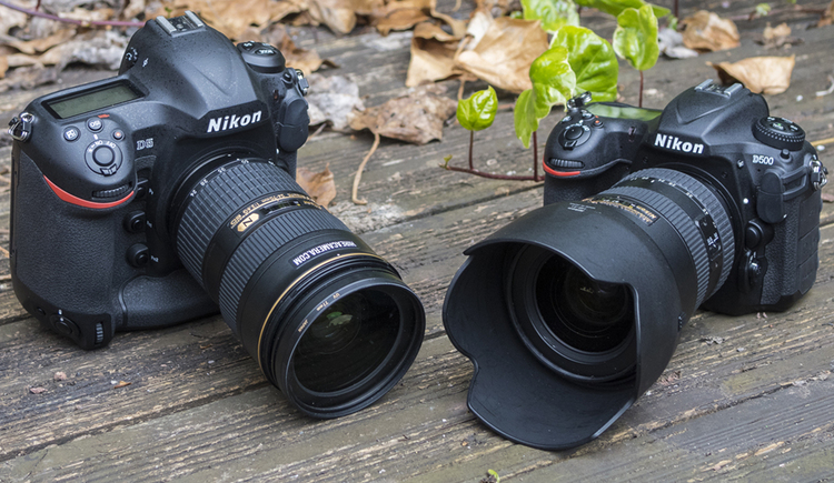 Nikon D5 vs Nikon D500