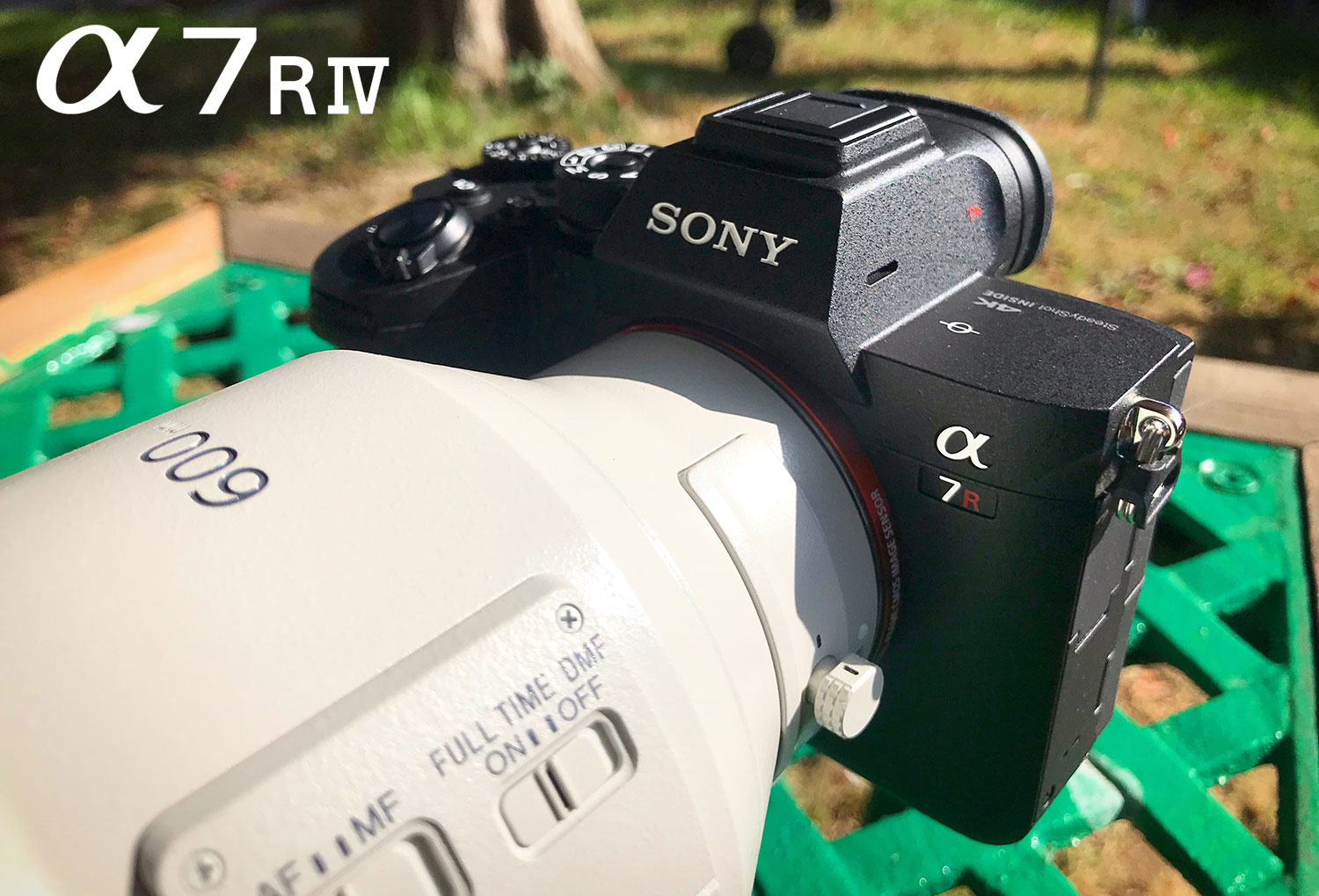 NOW IN STOCK: Sony a7R IV Full Frame Mirrorless Camera – Sample Images