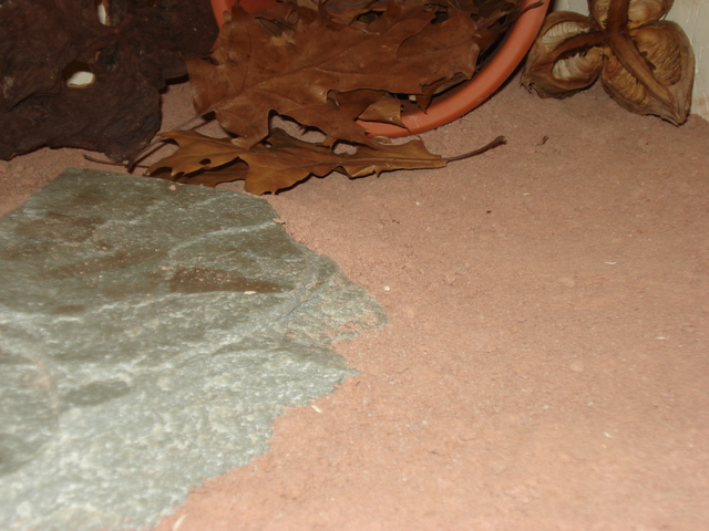 TEST SAND/LEHMGEMISCH •