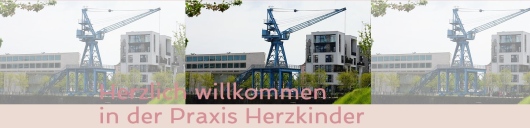 Denis Müller-0