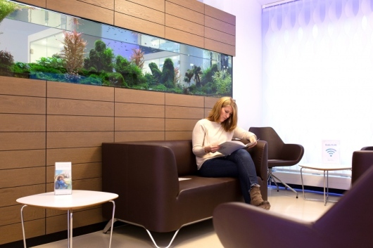 Praxisklinik Denecke Zahnmedizin -2