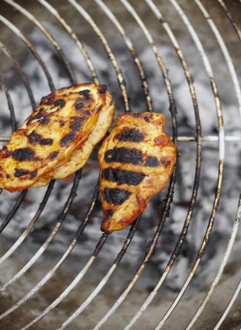 15 Easy and Delicious Grilled Chicken Recipes - 44