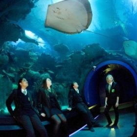 The Deep The Deep