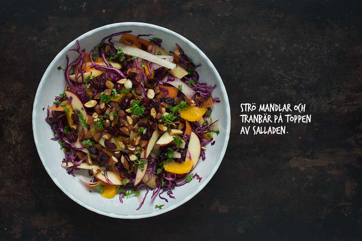 Recept: Råkostsallad med rödkål och morötter | Frk. Kräsen