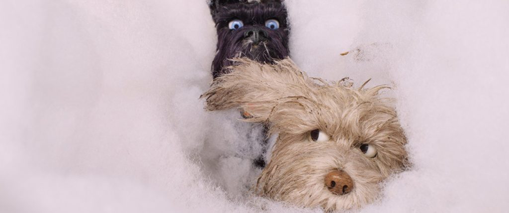 Isle of dogs