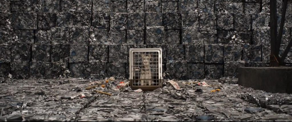 Isle of dogs