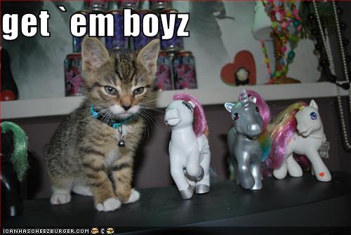 funny-pictures-kitten-has-pony-army1 funny-pictures-kitten-has-pony-army1