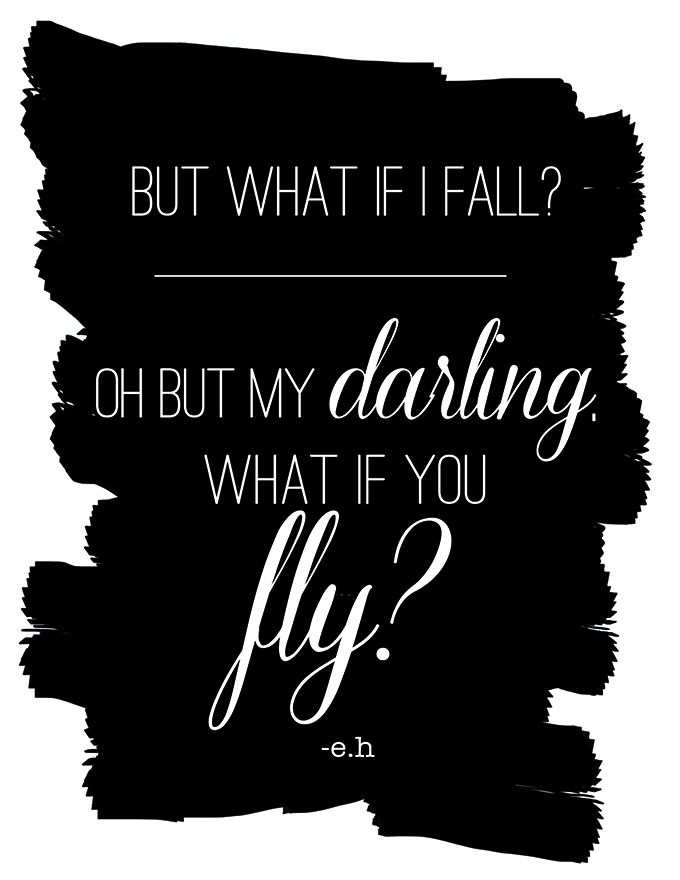 fly8x11
