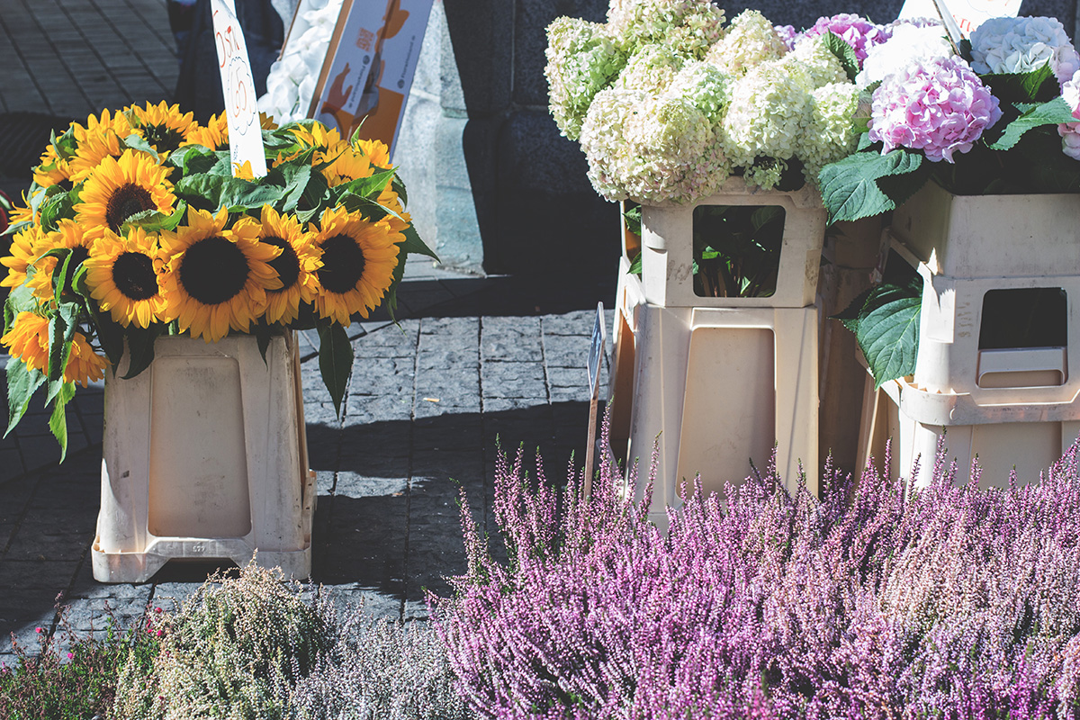 Sommarlistan