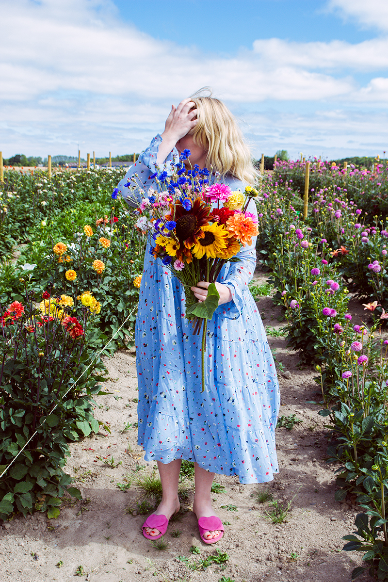 Självplock blommor