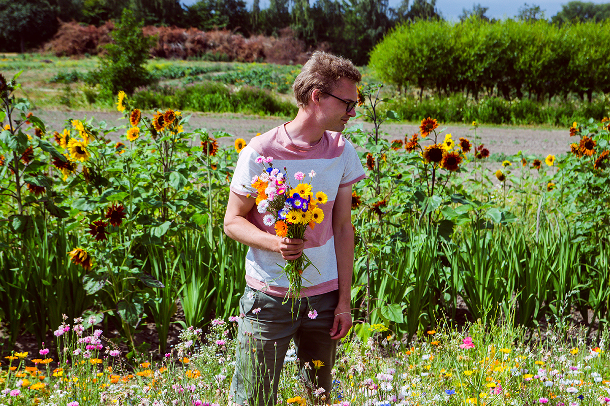 Självplock blommor