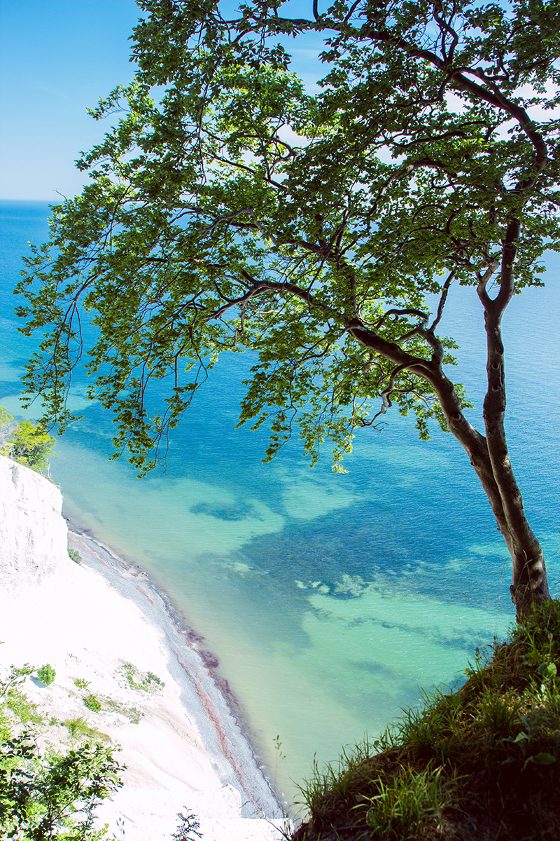 Møns Klint