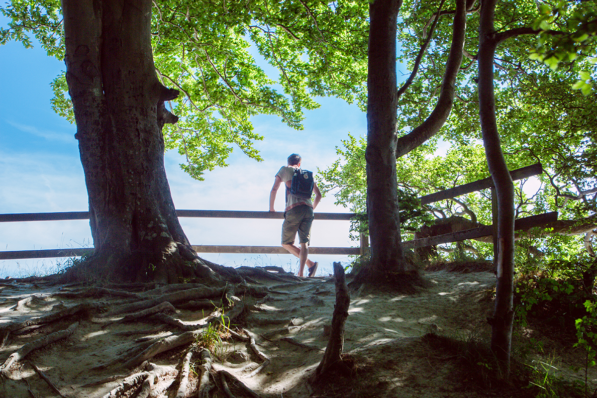 Møns Klint