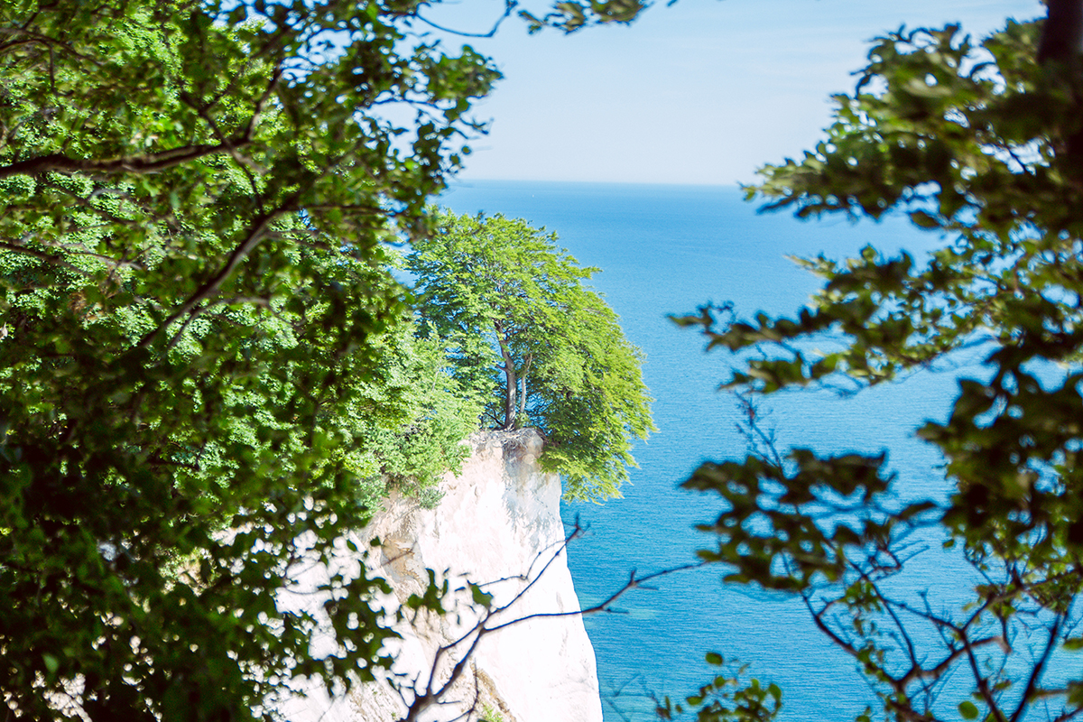 Møns Klint