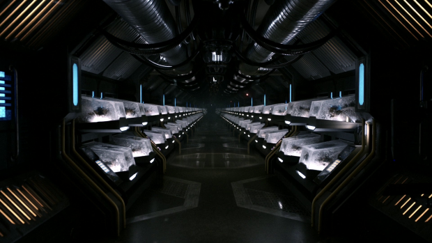 The 100
