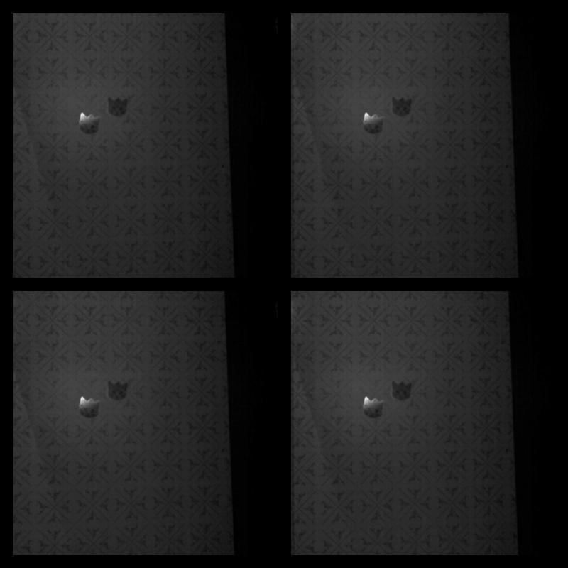 Photomat 05.01.2014 00:59:23