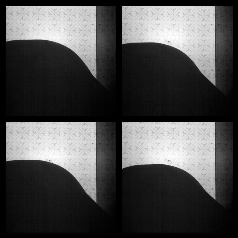 Photomat 22.01.2023 03:11:17