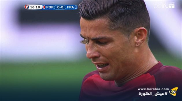 سر الانتشار الكثيف للحشرات في ملعب نهائي اليورو