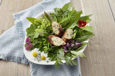 Beinwellröllchen mit Ziegenkäse auf Blatt-und Wildkräutersalat Beinwellröllchen mit Ziegenkäse auf Blatt-und Wildkräutersalat