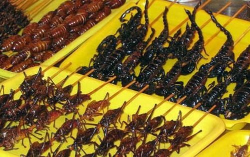china-wtf-bizarre-crazy-strange-1
