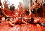 Tomatina1